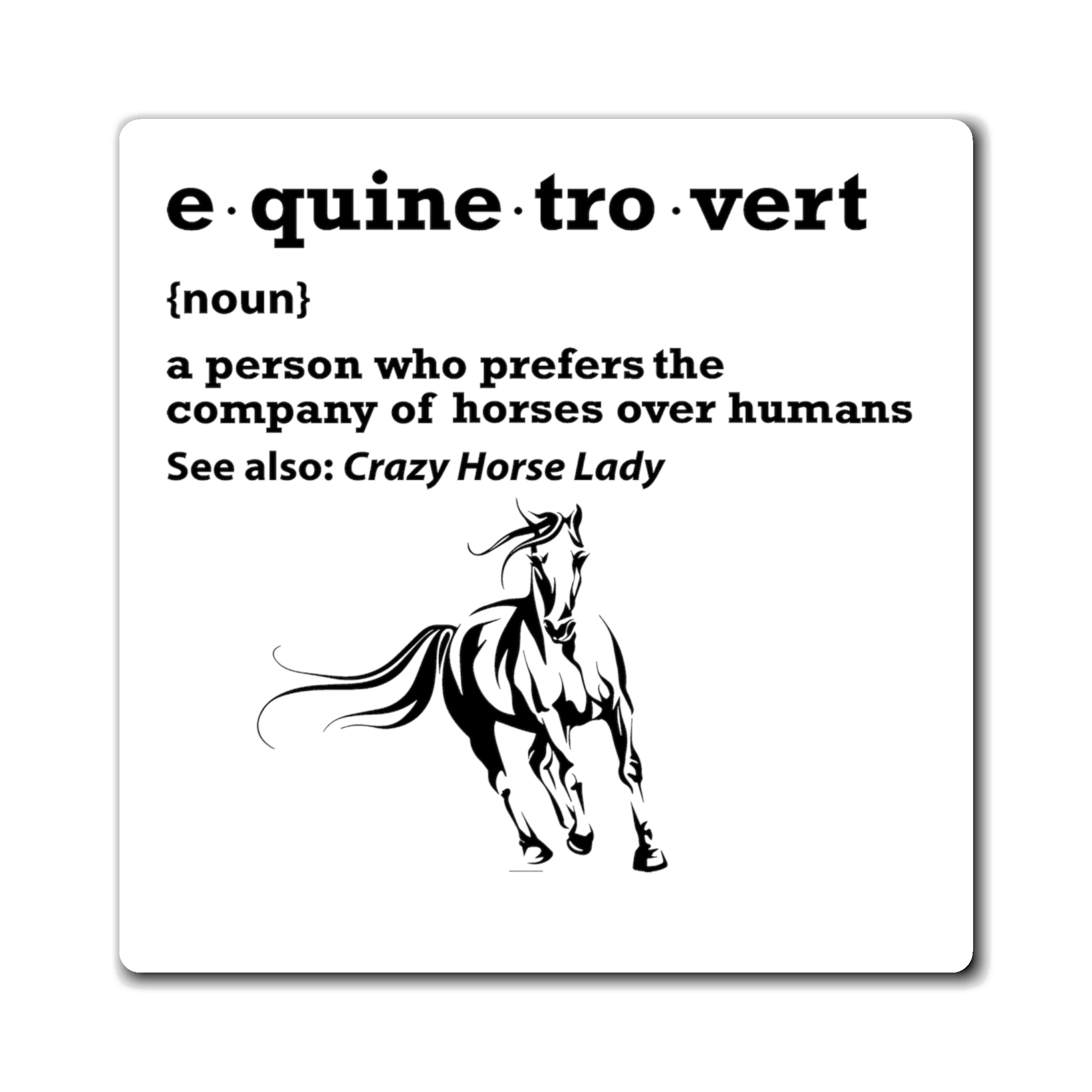 Equinetrovert Definition - Magnet