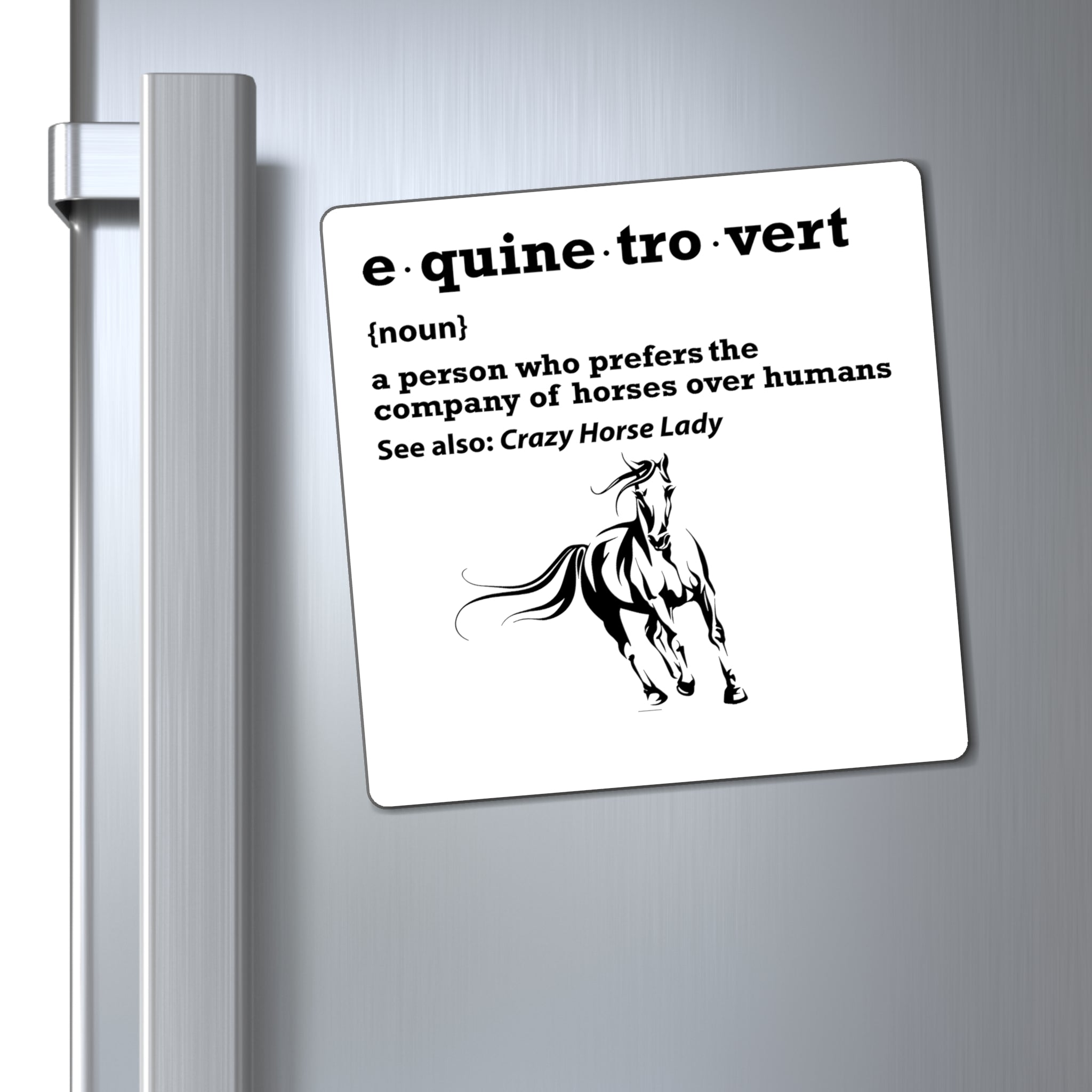 Equinetrovert Definition - Magnet