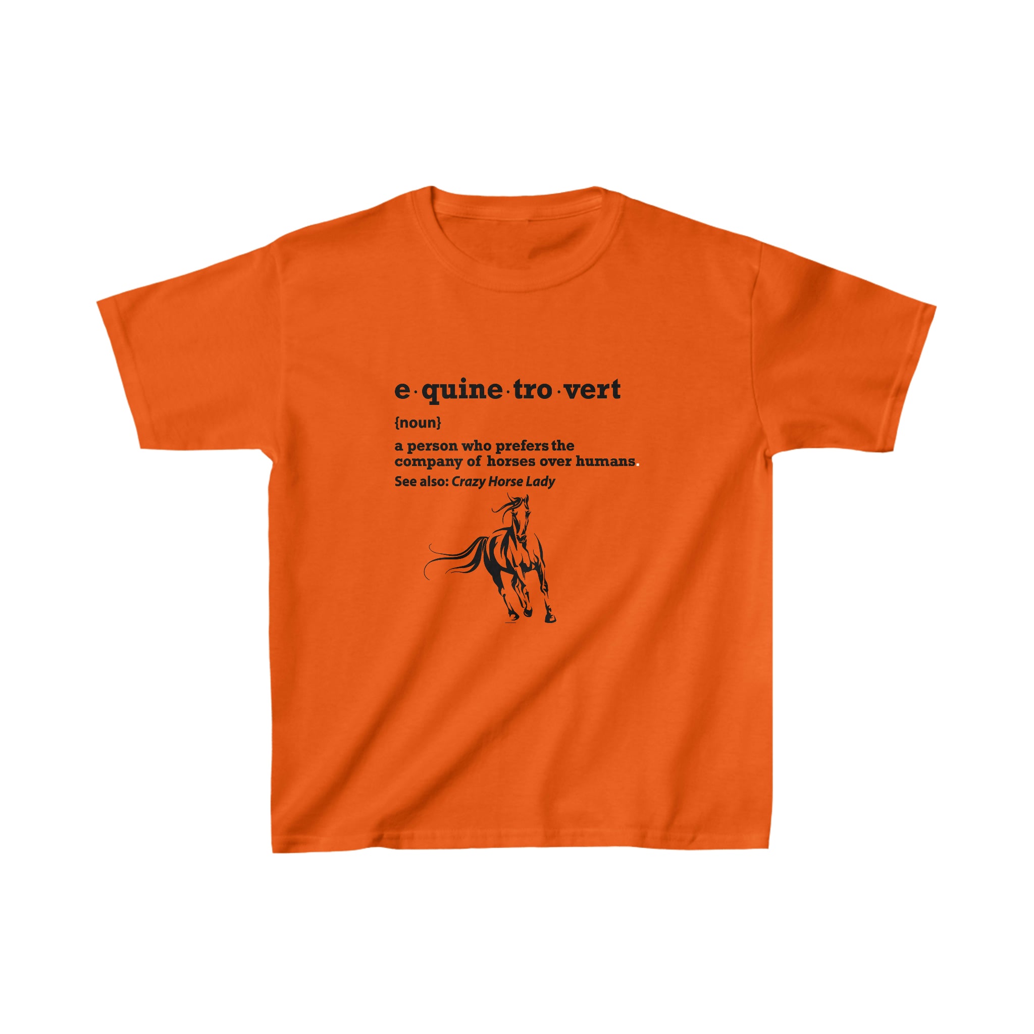 Equinetrovert Definition - Kid&