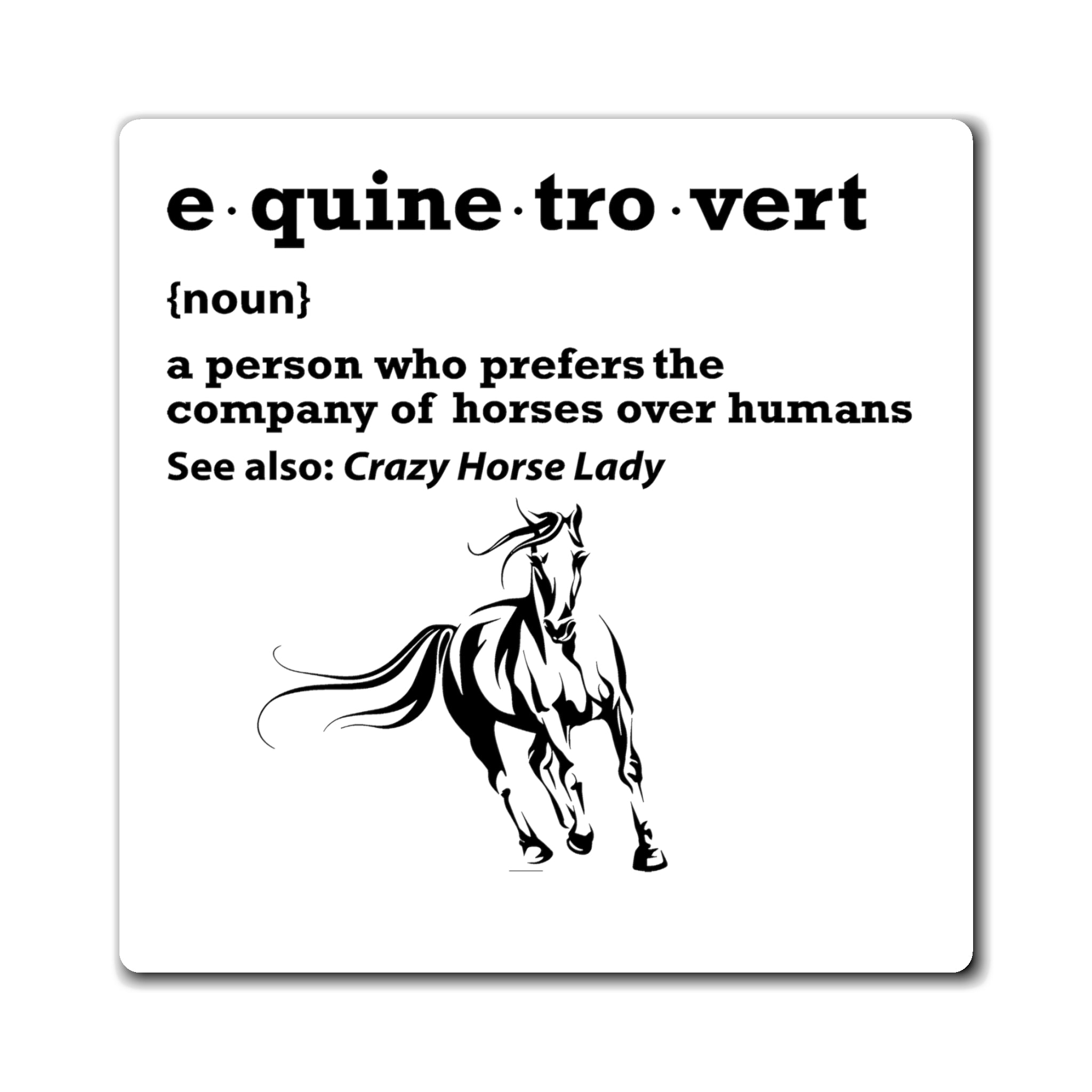 Equinetrovert Definition - Magnet
