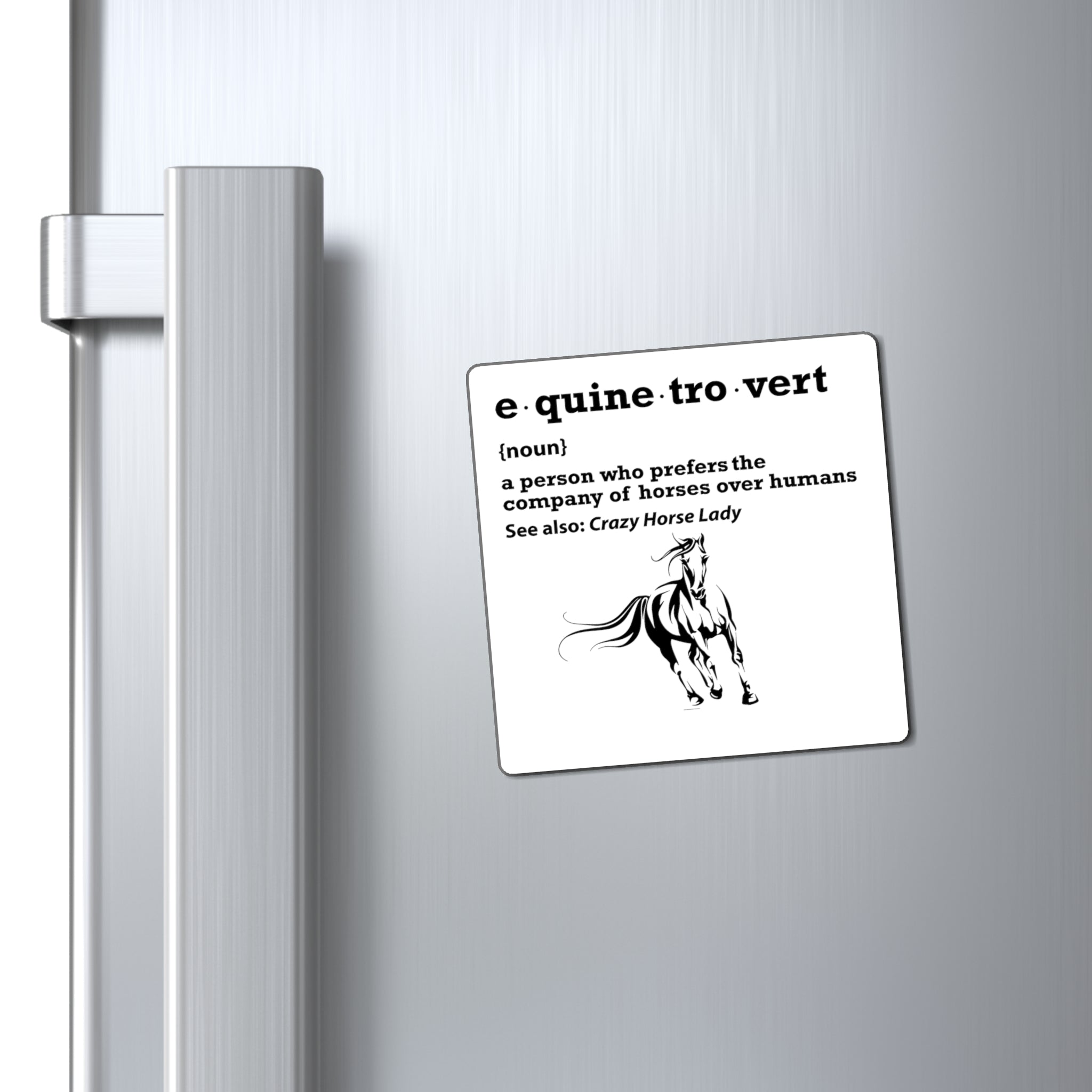 Equinetrovert Definition - Magnet