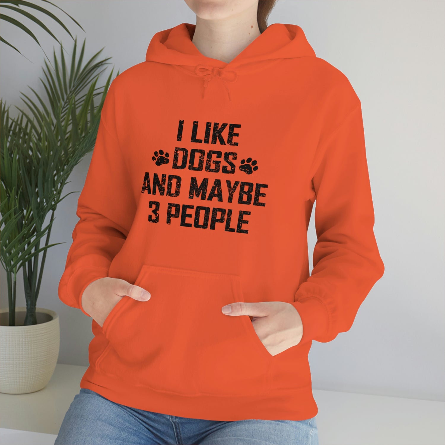 I Like Dogs & Maybe 3 People - Unisex Heavy Blend™ Hooded Sweatshirt