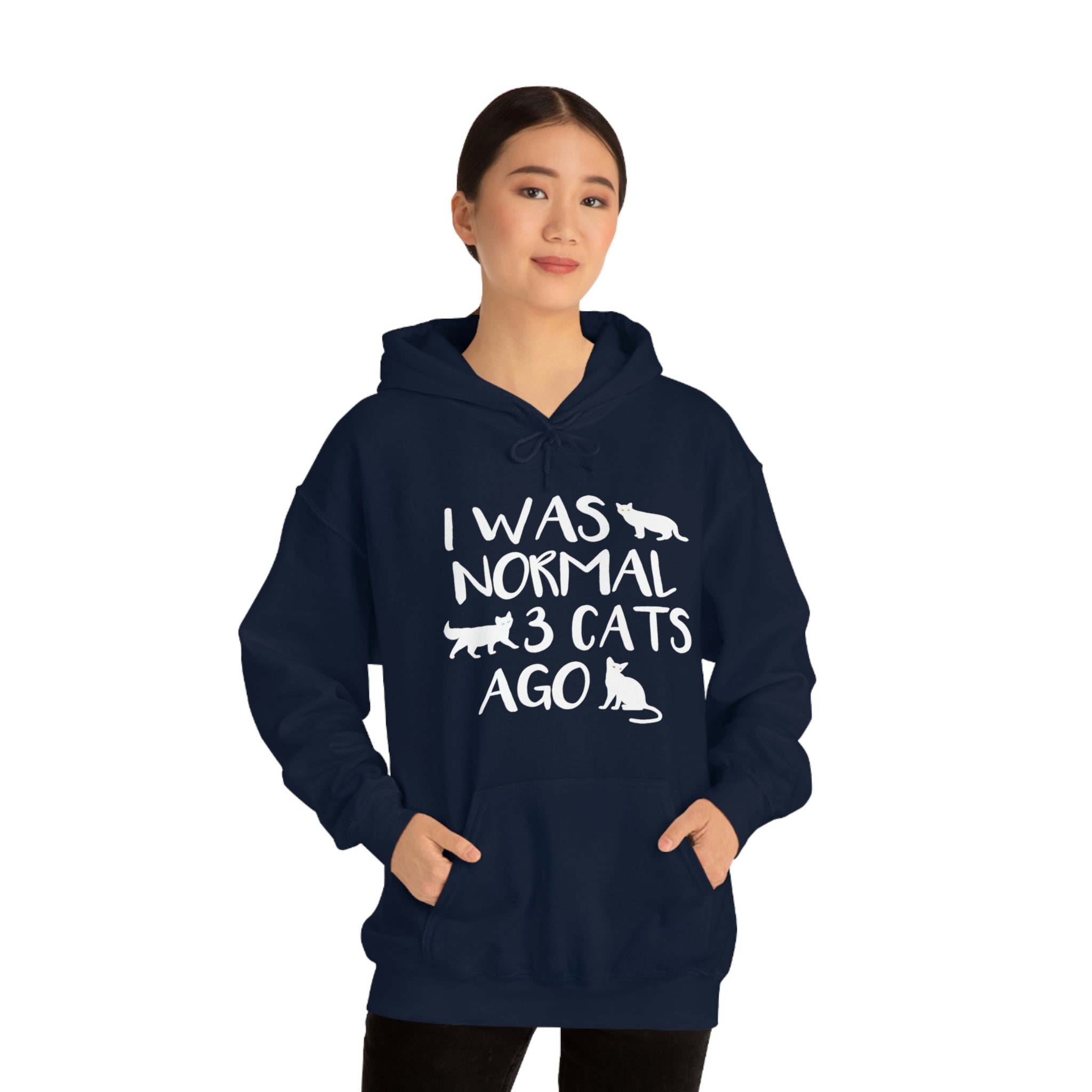 I Was Normal 3 Cats Ago - Unisex Heavy Blend™ Hooded Sweatshirt