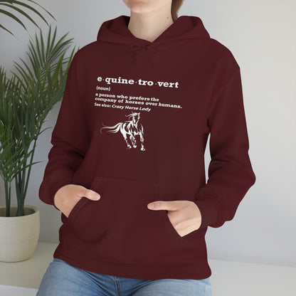 Equinetrovert Definition - Unisex Heavy Blend™ Hooded Sweatshirt