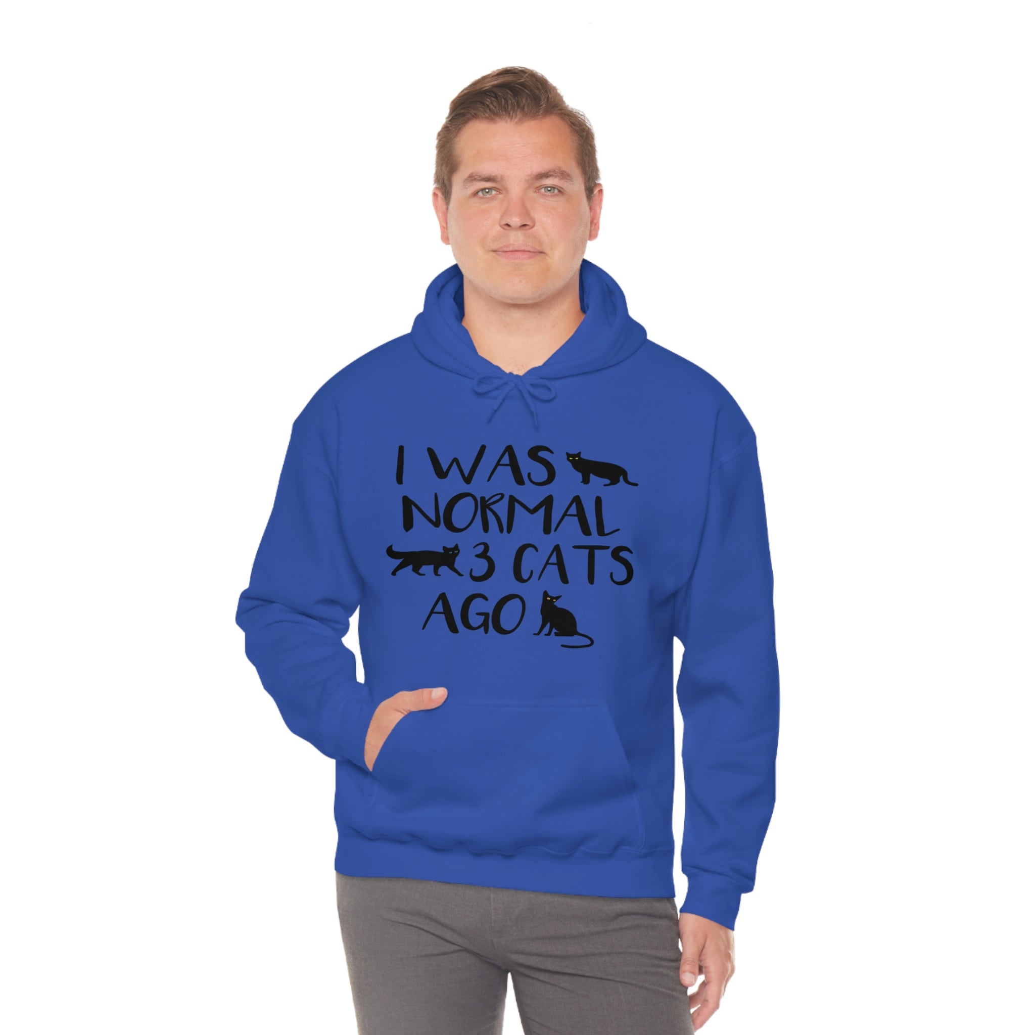 I Was Normal 3 Cats Ago - Unisex Heavy Blend™ Hooded Sweatshirt