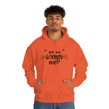 Are You Kitten Me - Unisex Heavy Blend™ Hooded Sweatshirt