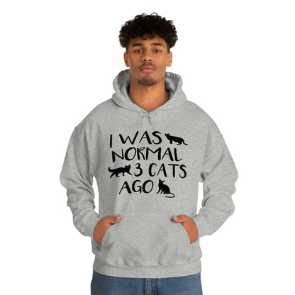 I Was Normal 3 Cats Ago - Unisex Heavy Blend™ Hooded Sweatshirt