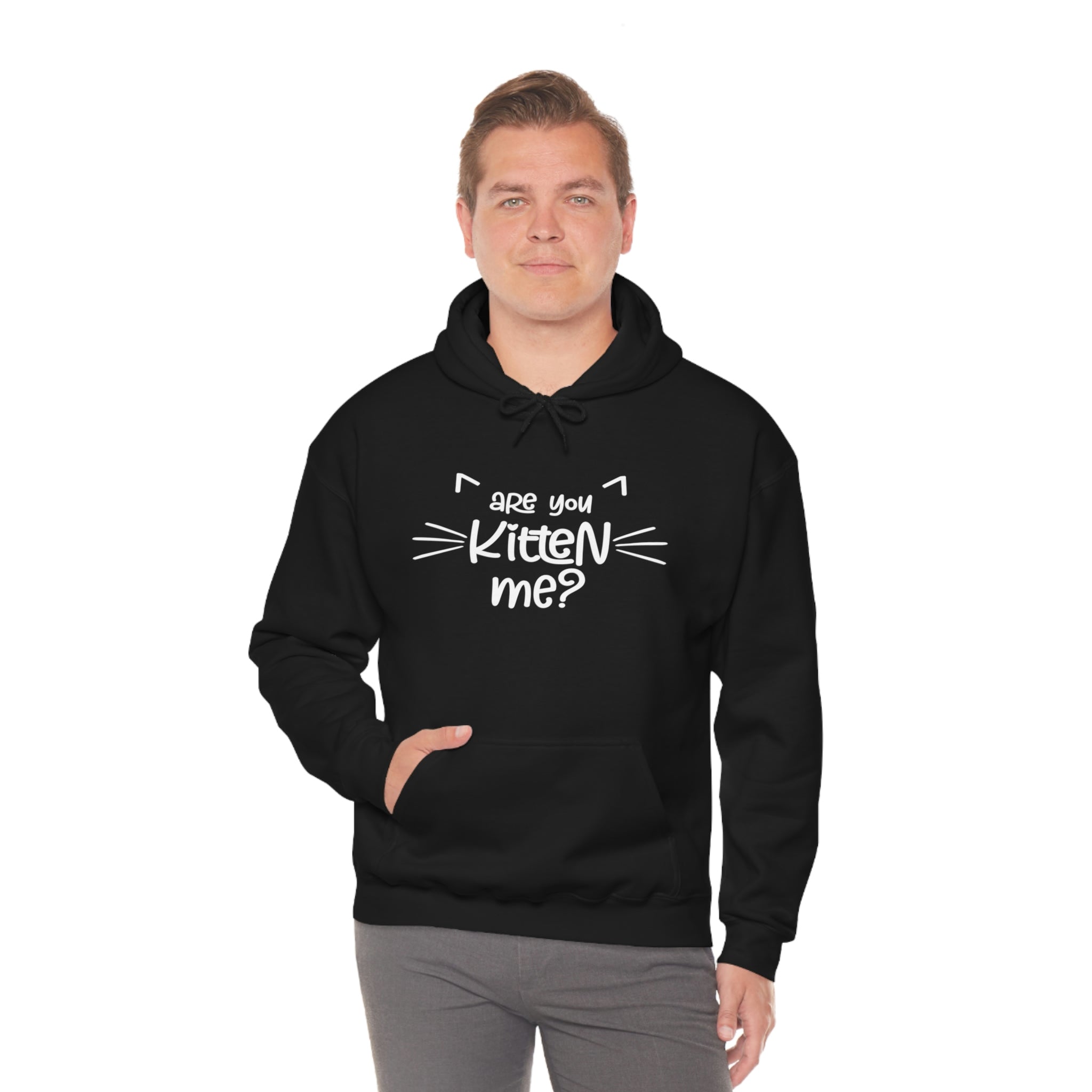 Are You Kitten Me - Unisex Heavy Blend™ Hooded Sweatshirt