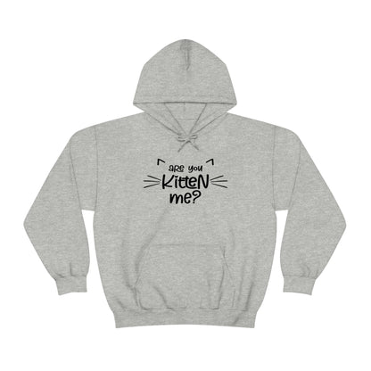 Are You Kitten Me - Unisex Heavy Blend™ Hooded Sweatshirt