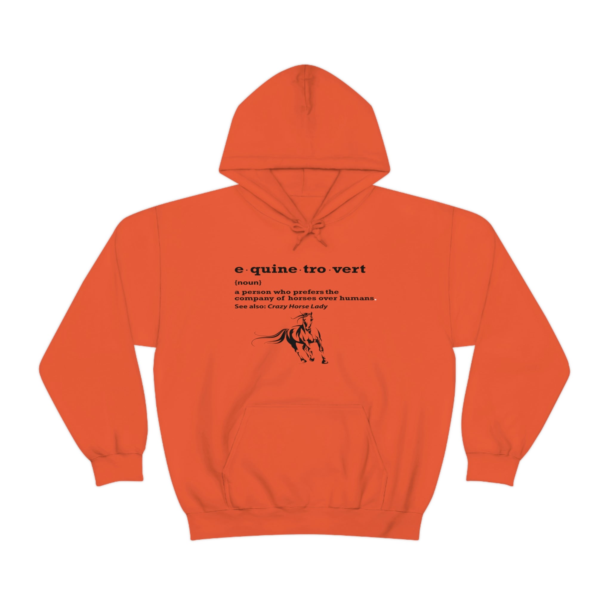 Equinetrovert Definition - Unisex Heavy Blend™ Hooded Sweatshirt