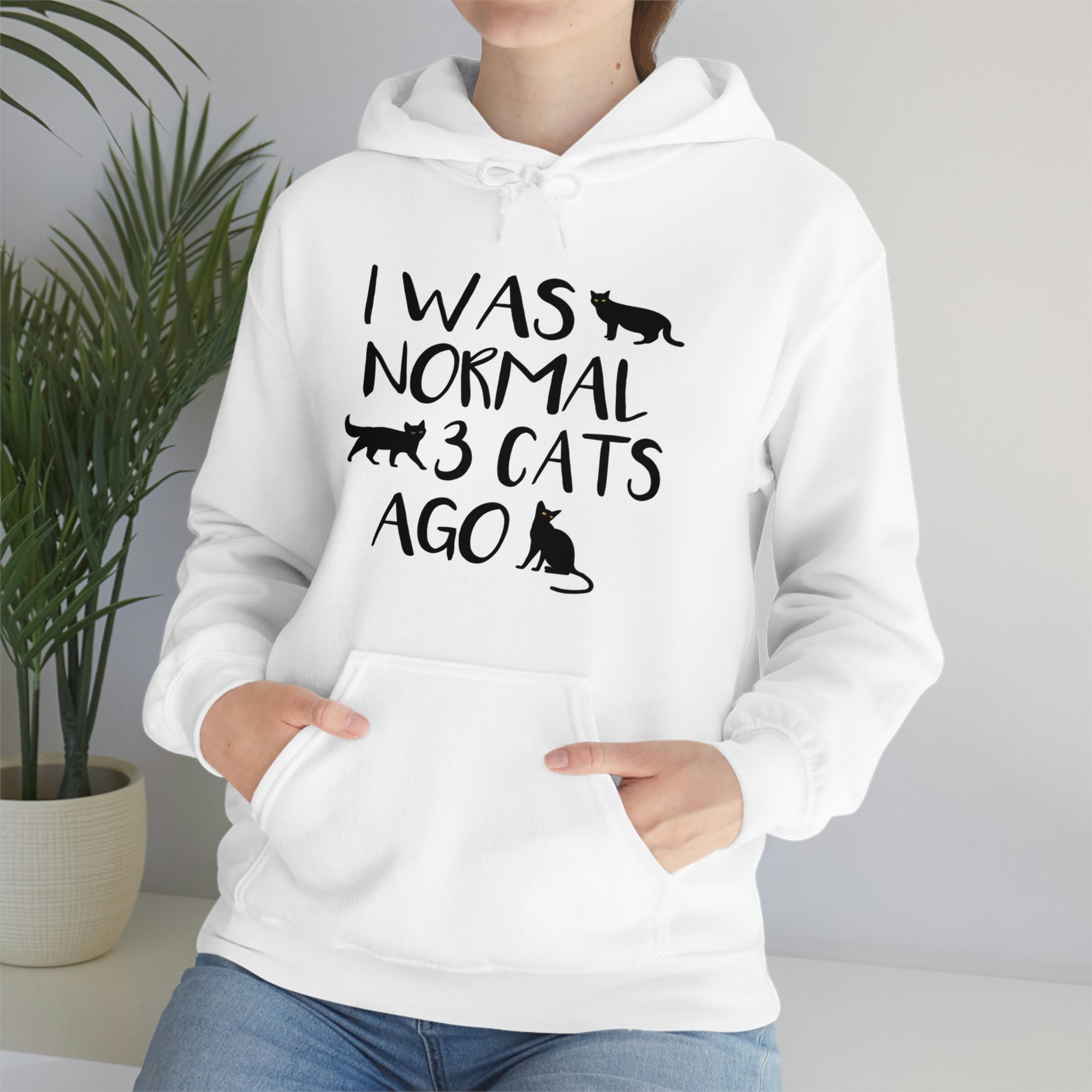 I Was Normal 3 Cats Ago - Unisex Heavy Blend™ Hooded Sweatshirt