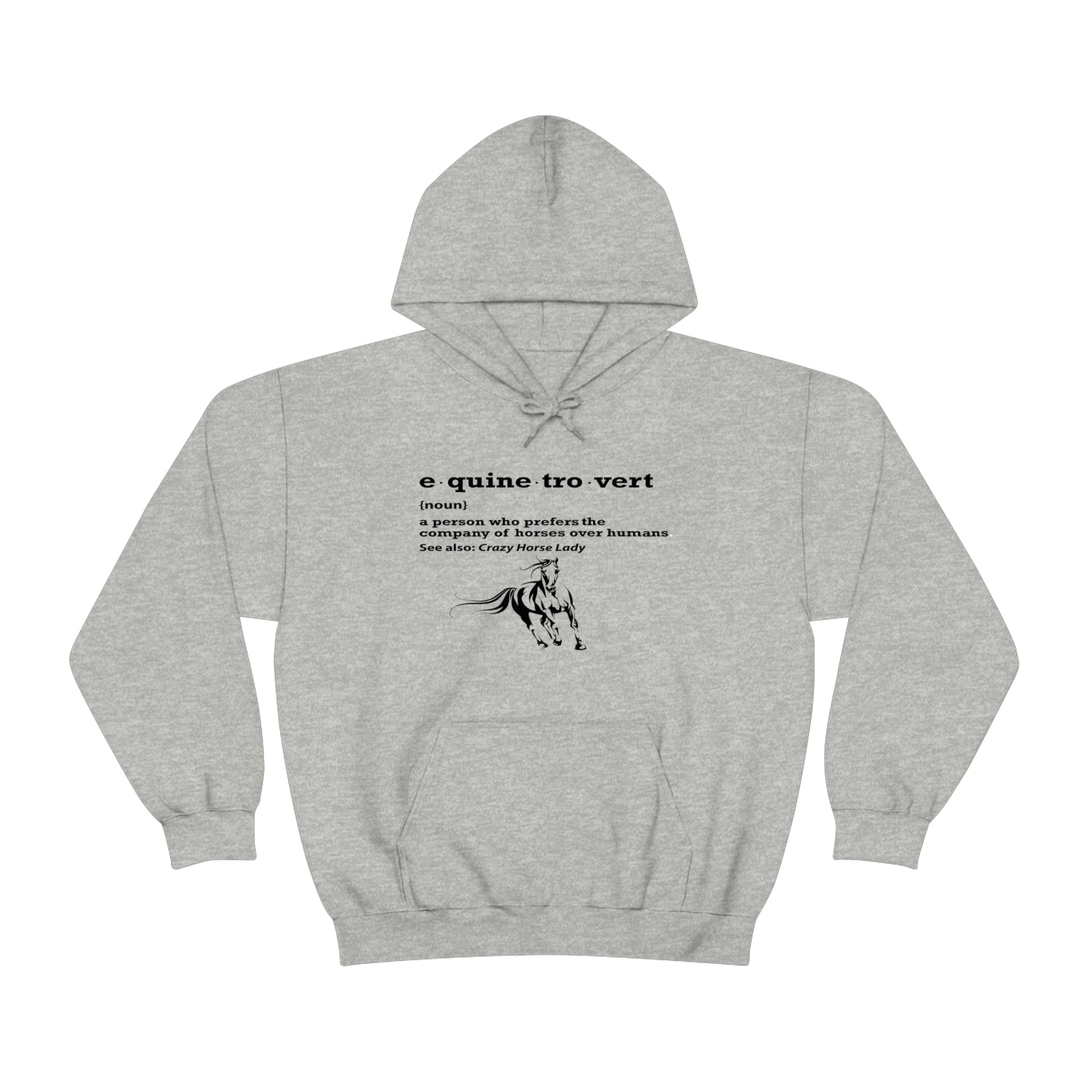 Equinetrovert Definition - Unisex Heavy Blend™ Hooded Sweatshirt