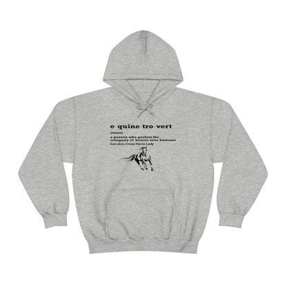 Equinetrovert Definition - Unisex Heavy Blend™ Hooded Sweatshirt