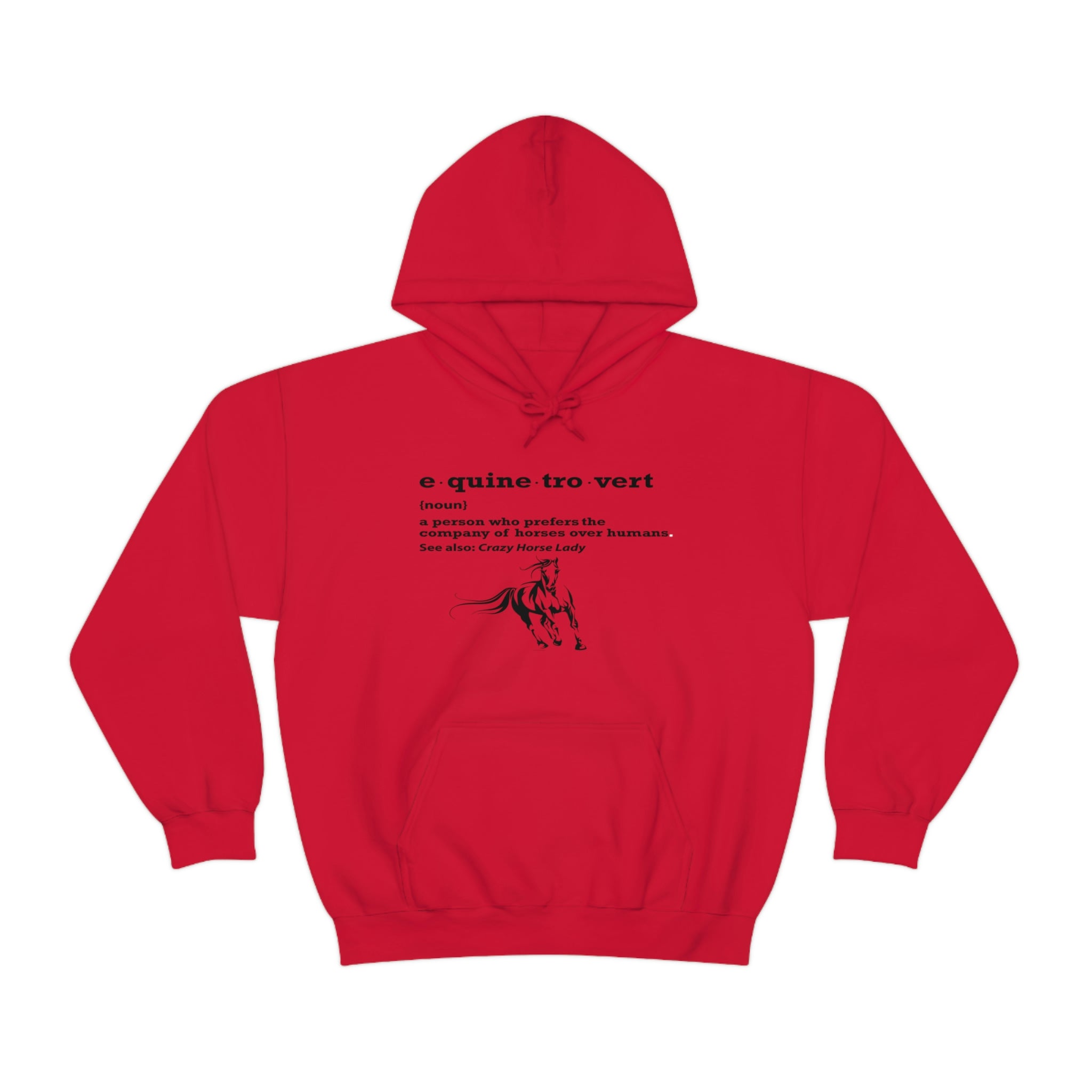 Equinetrovert Definition - Unisex Heavy Blend™ Hooded Sweatshirt