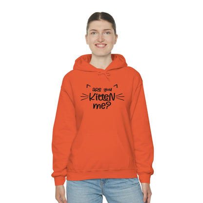 Are You Kitten Me - Unisex Heavy Blend™ Hooded Sweatshirt