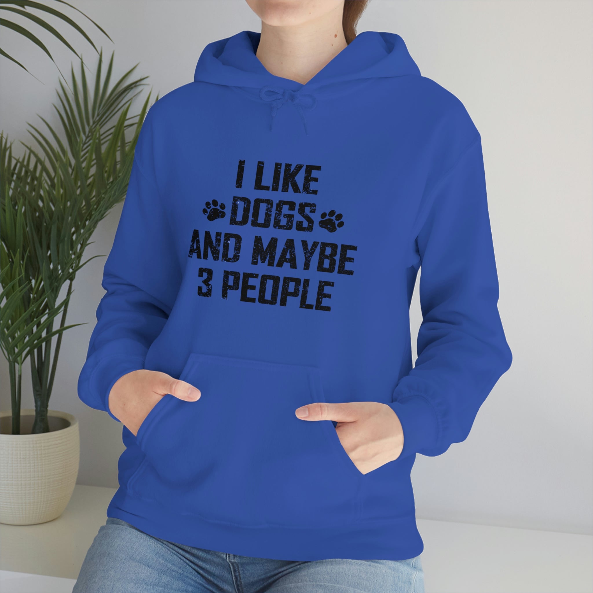 I Like Dogs &amp; Maybe 3 People - Unisex Heavy Blend™ Hooded Sweatshirt