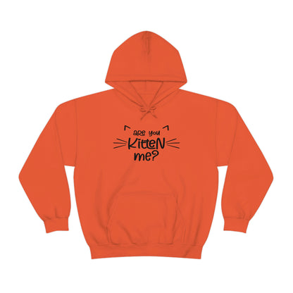 Are You Kitten Me - Unisex Heavy Blend™ Hooded Sweatshirt