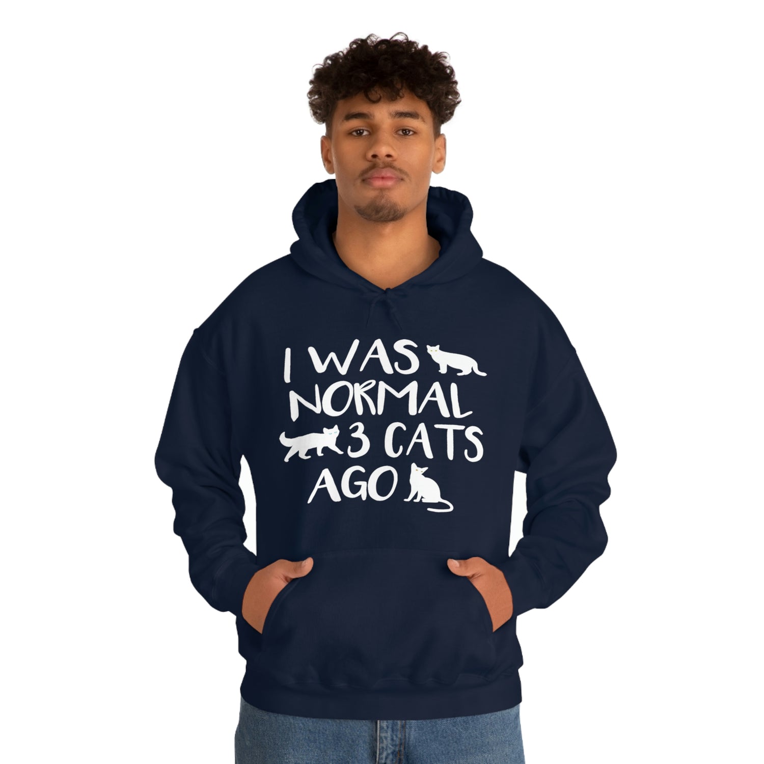 I Was Normal 3 Cats Ago - Unisex Heavy Blend™ Hooded Sweatshirt