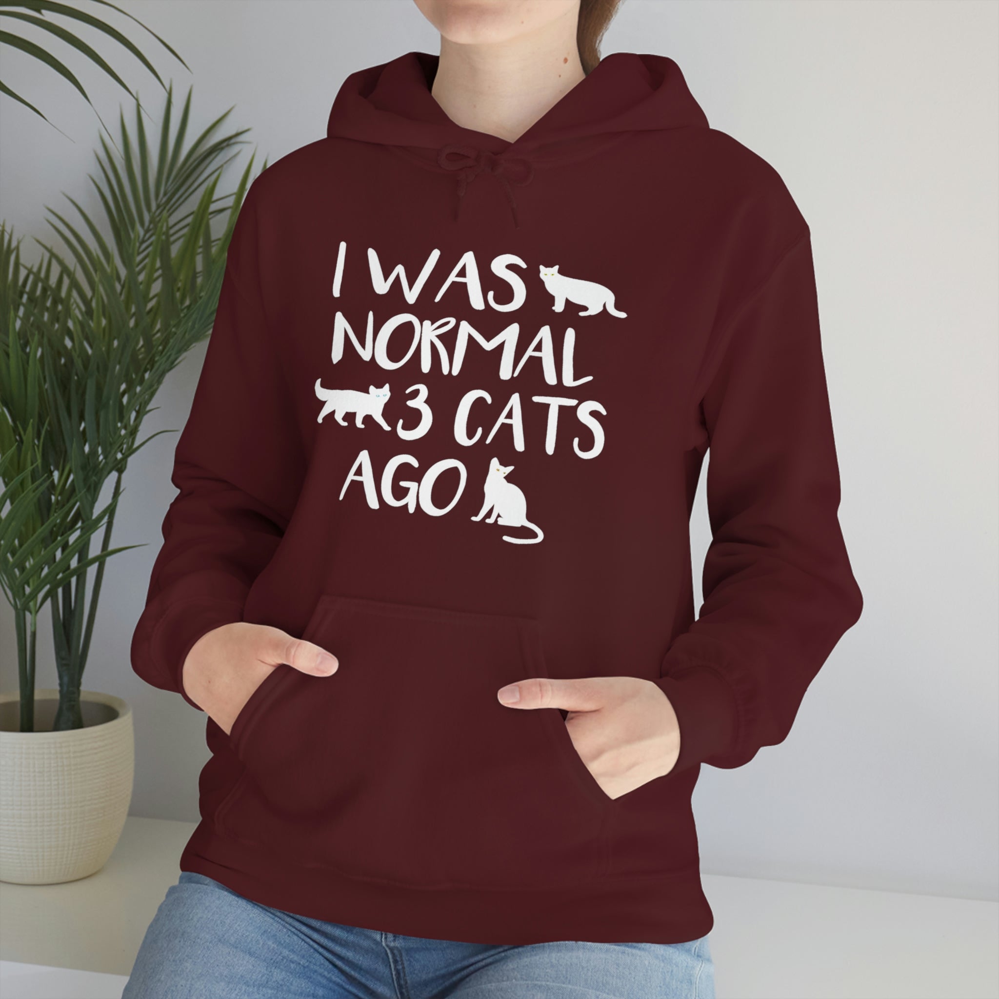 I Was Normal 3 Cats Ago - Unisex Heavy Blend™ Hooded Sweatshirt