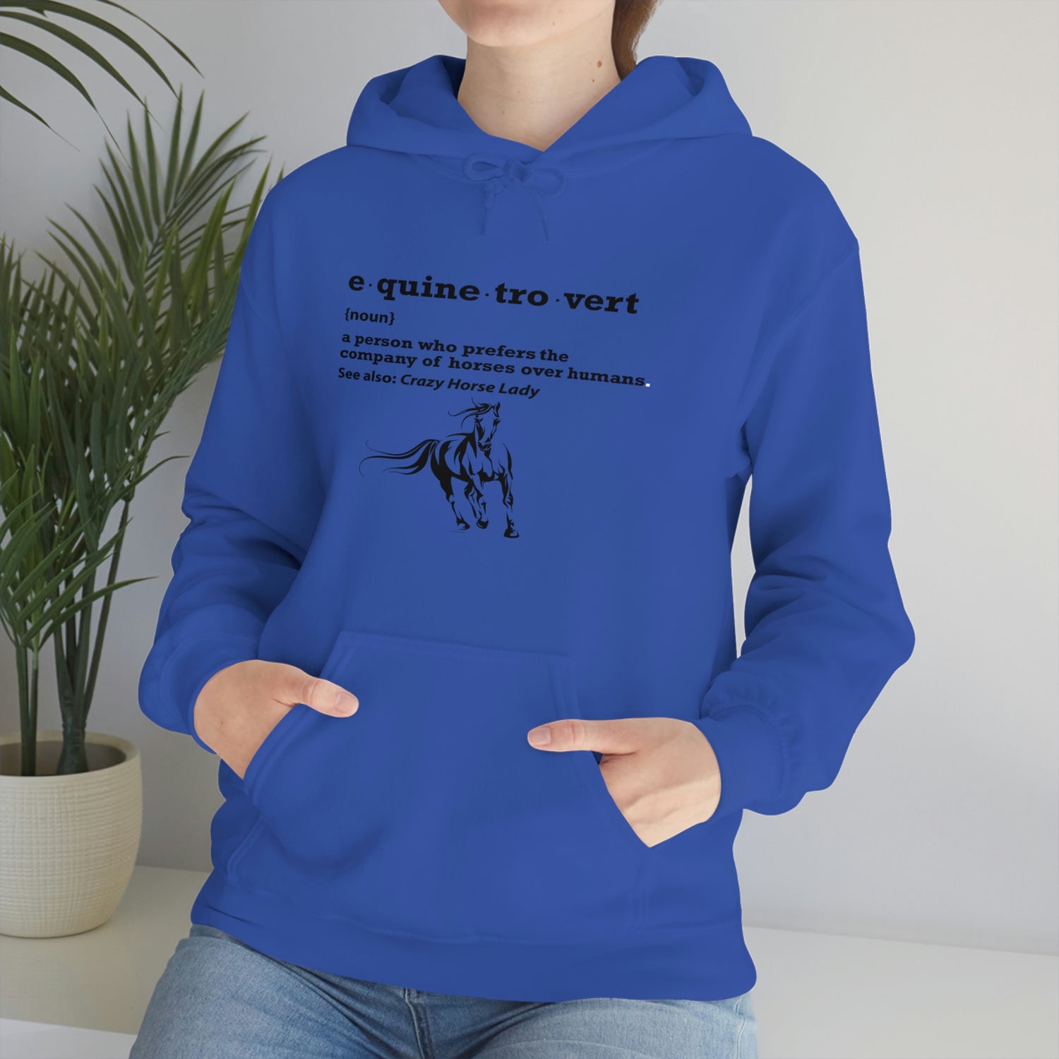 Equinetrovert Definition - Unisex Heavy Blend™ Hooded Sweatshirt