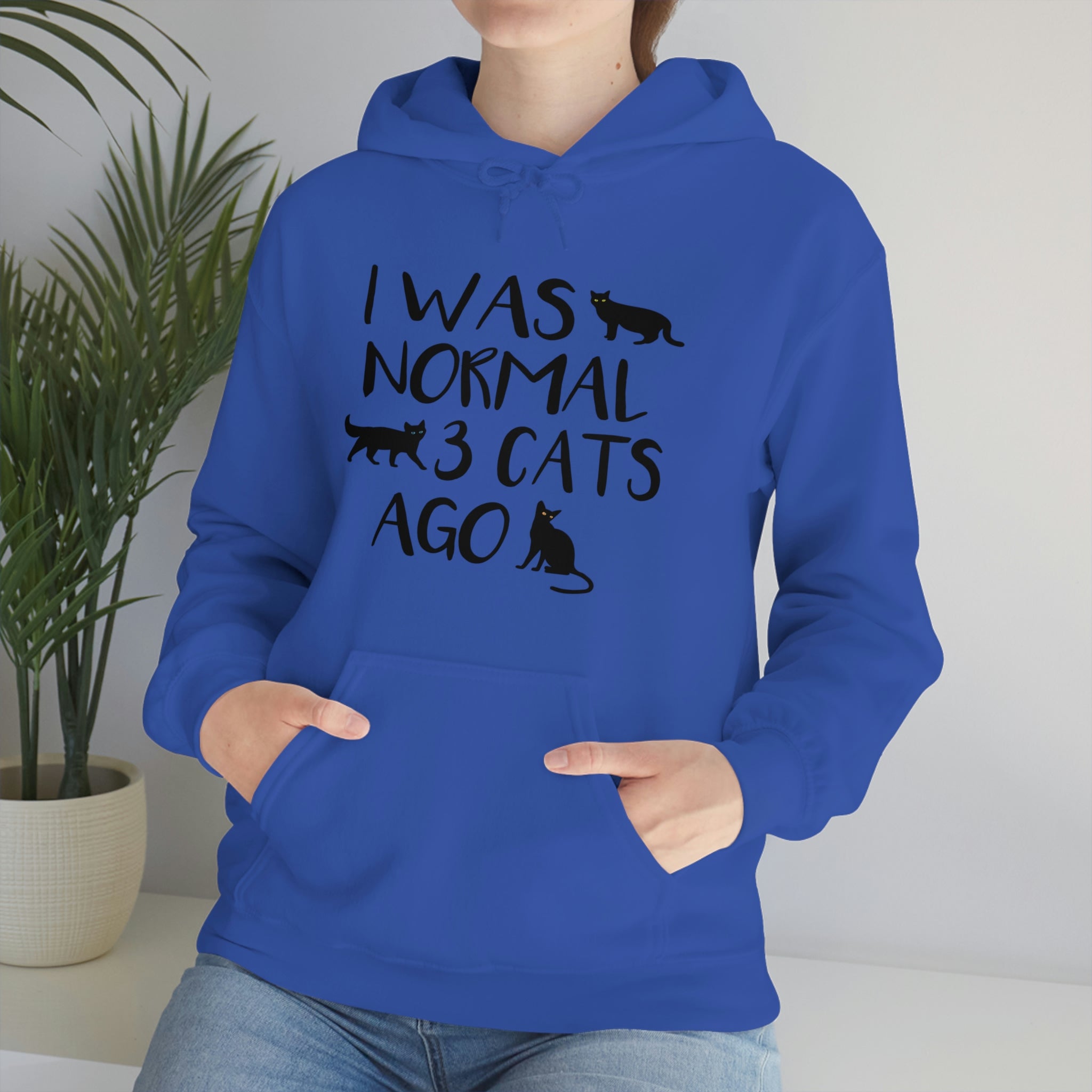 I Was Normal 3 Cats Ago - Unisex Heavy Blend™ Hooded Sweatshirt