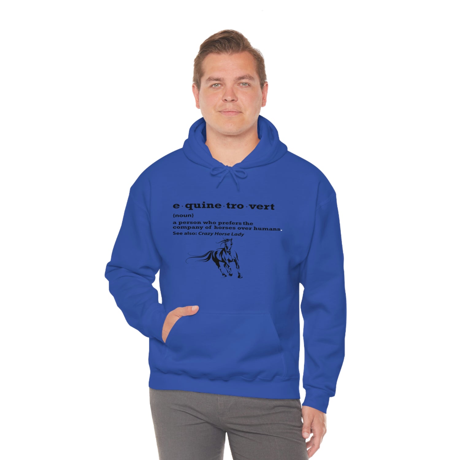 Equinetrovert Definition - Unisex Heavy Blend™ Hooded Sweatshirt