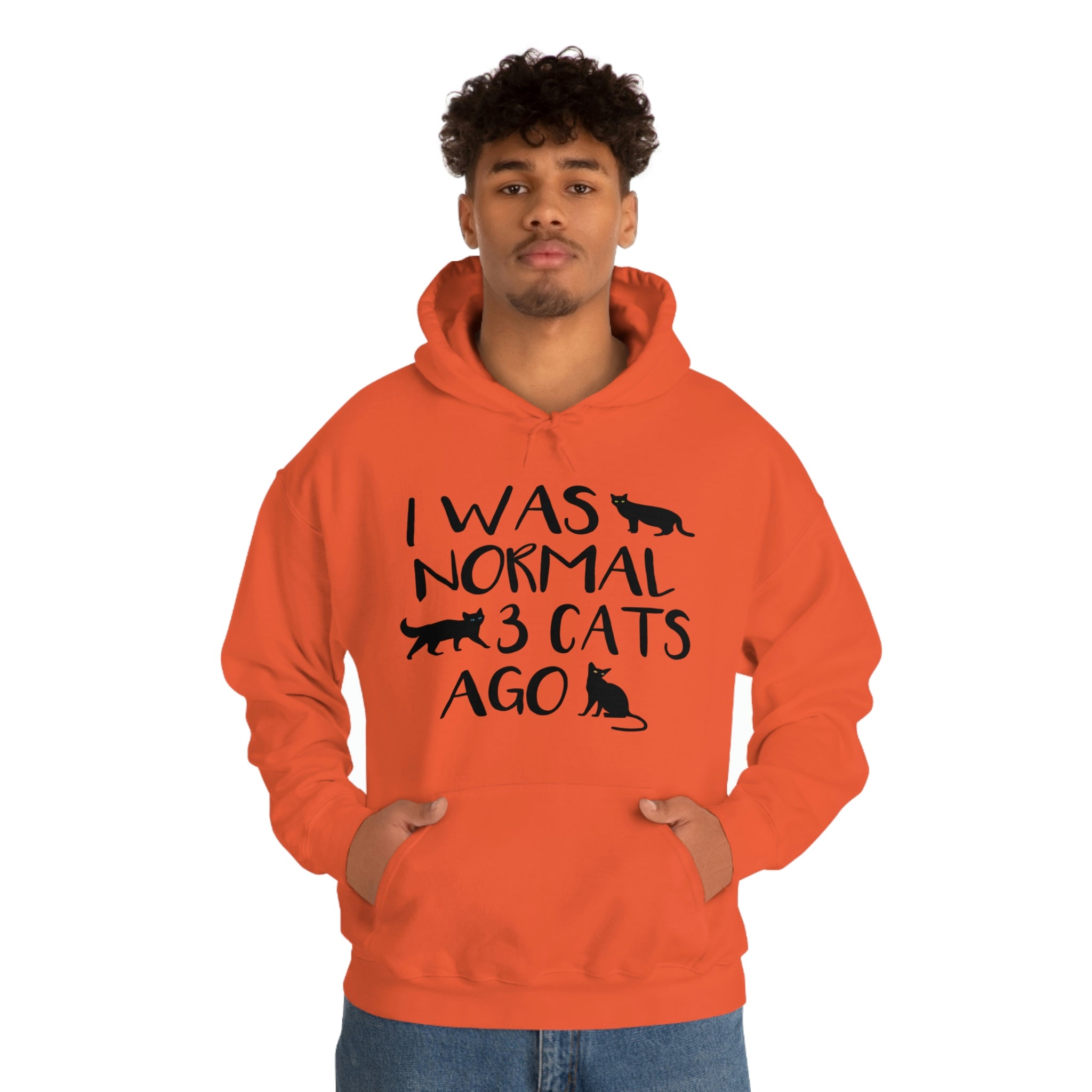 I Was Normal 3 Cats Ago - Unisex Heavy Blend™ Hooded Sweatshirt