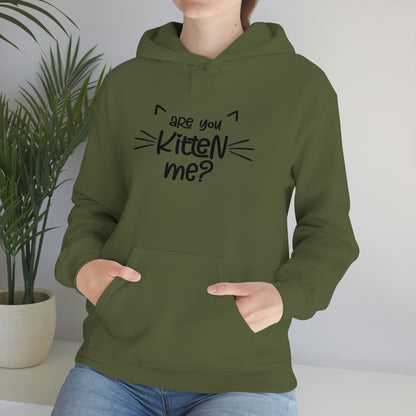 Are You Kitten Me - Unisex Heavy Blend™ Hooded Sweatshirt