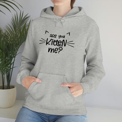 Are You Kitten Me - Unisex Heavy Blend™ Hooded Sweatshirt