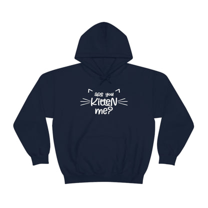 Are You Kitten Me - Unisex Heavy Blend™ Hooded Sweatshirt