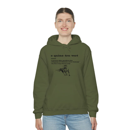 Equinetrovert Definition - Unisex Heavy Blend™ Hooded Sweatshirt