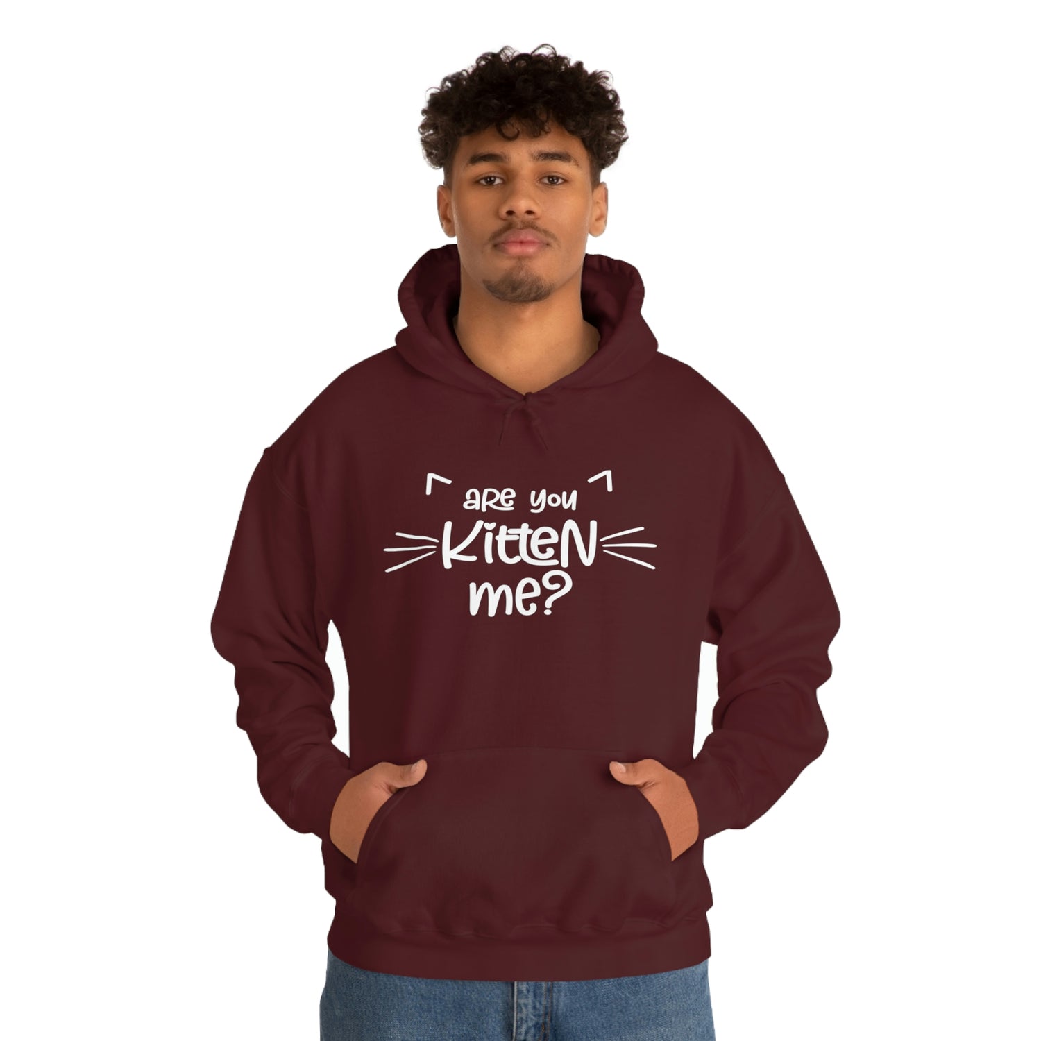 Are You Kitten Me - Unisex Heavy Blend™ Hooded Sweatshirt