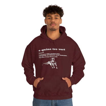 Equinetrovert Definition - Unisex Heavy Blend™ Hooded Sweatshirt