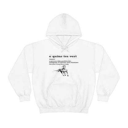 Equinetrovert Definition - Unisex Heavy Blend™ Hooded Sweatshirt