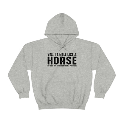 Yes I Smell Like a Horse No I Do Not Consider That A Problem - Unisex Heavy Blend™ Hooded Sweatshirt