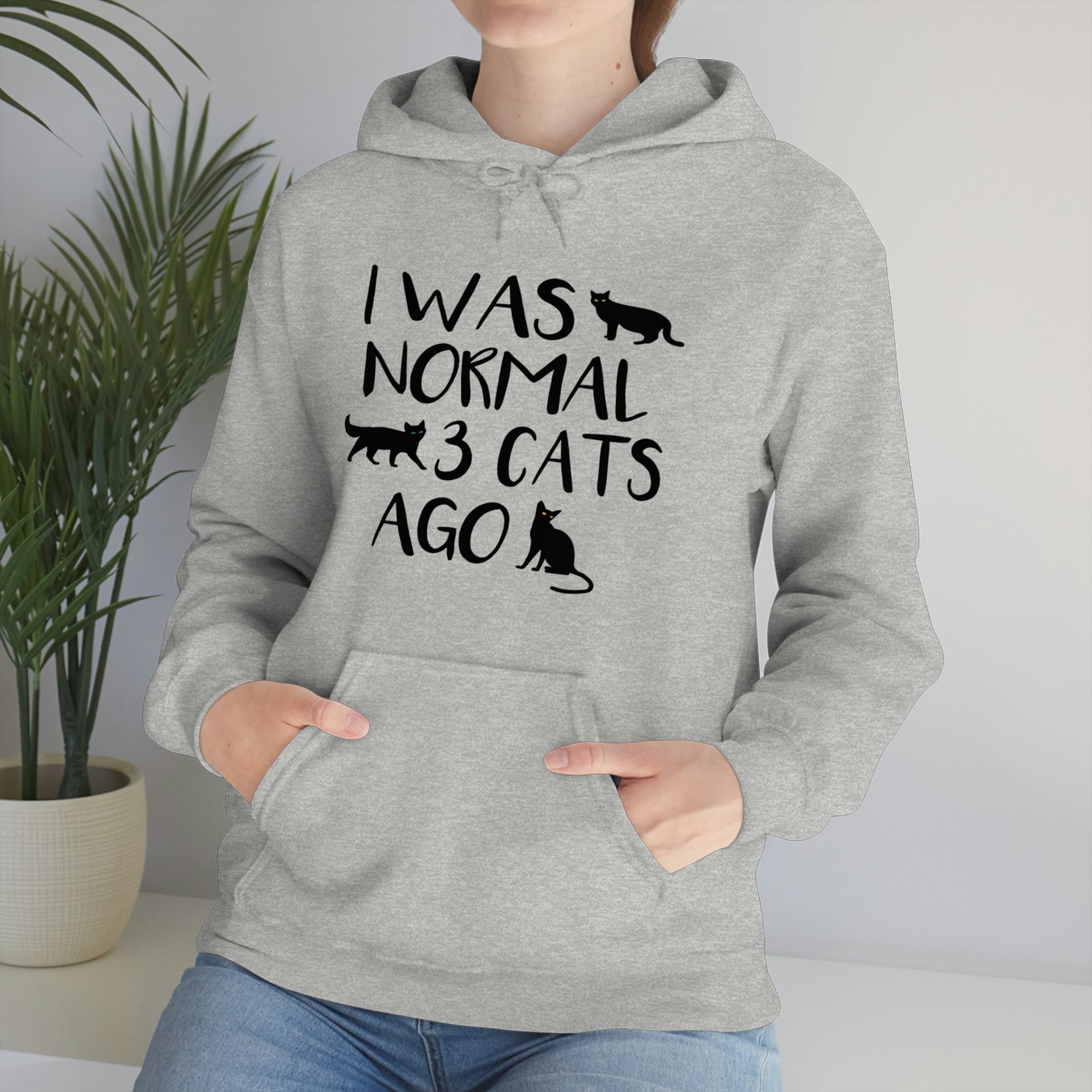 I Was Normal 3 Cats Ago - Unisex Heavy Blend™ Hooded Sweatshirt