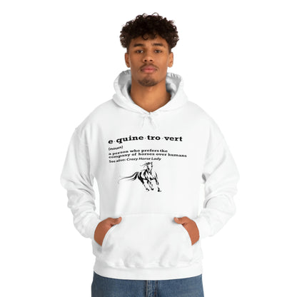 Equinetrovert Definition - Unisex Heavy Blend™ Hooded Sweatshirt