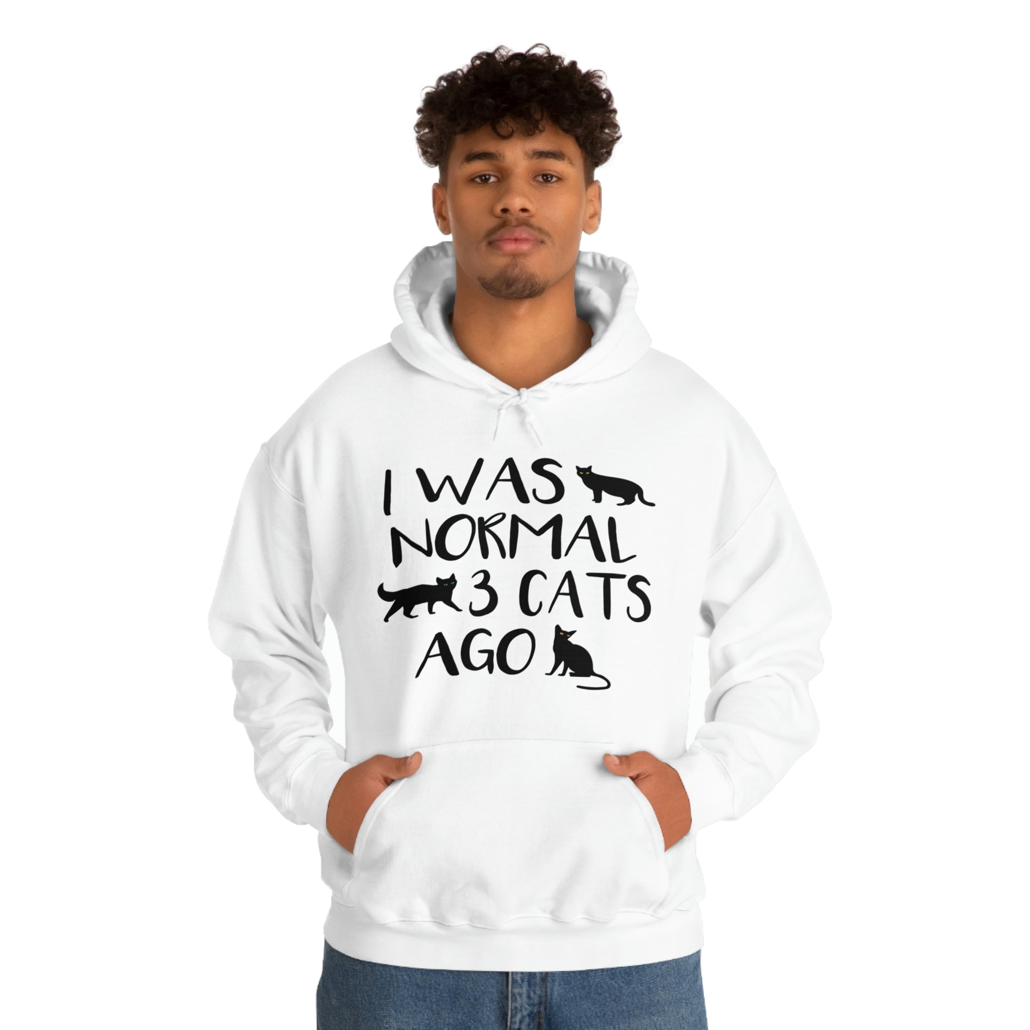 I Was Normal 3 Cats Ago - Unisex Heavy Blend™ Hooded Sweatshirt