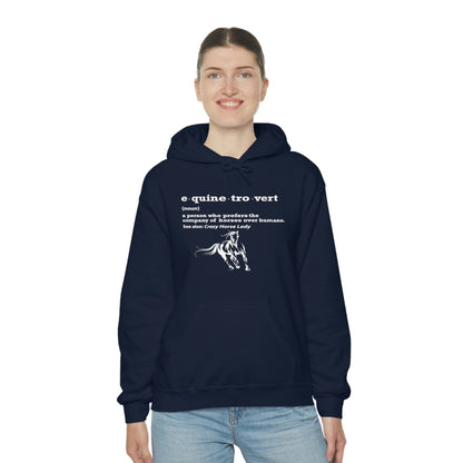 Equinetrovert Definition - Unisex Heavy Blend™ Hooded Sweatshirt