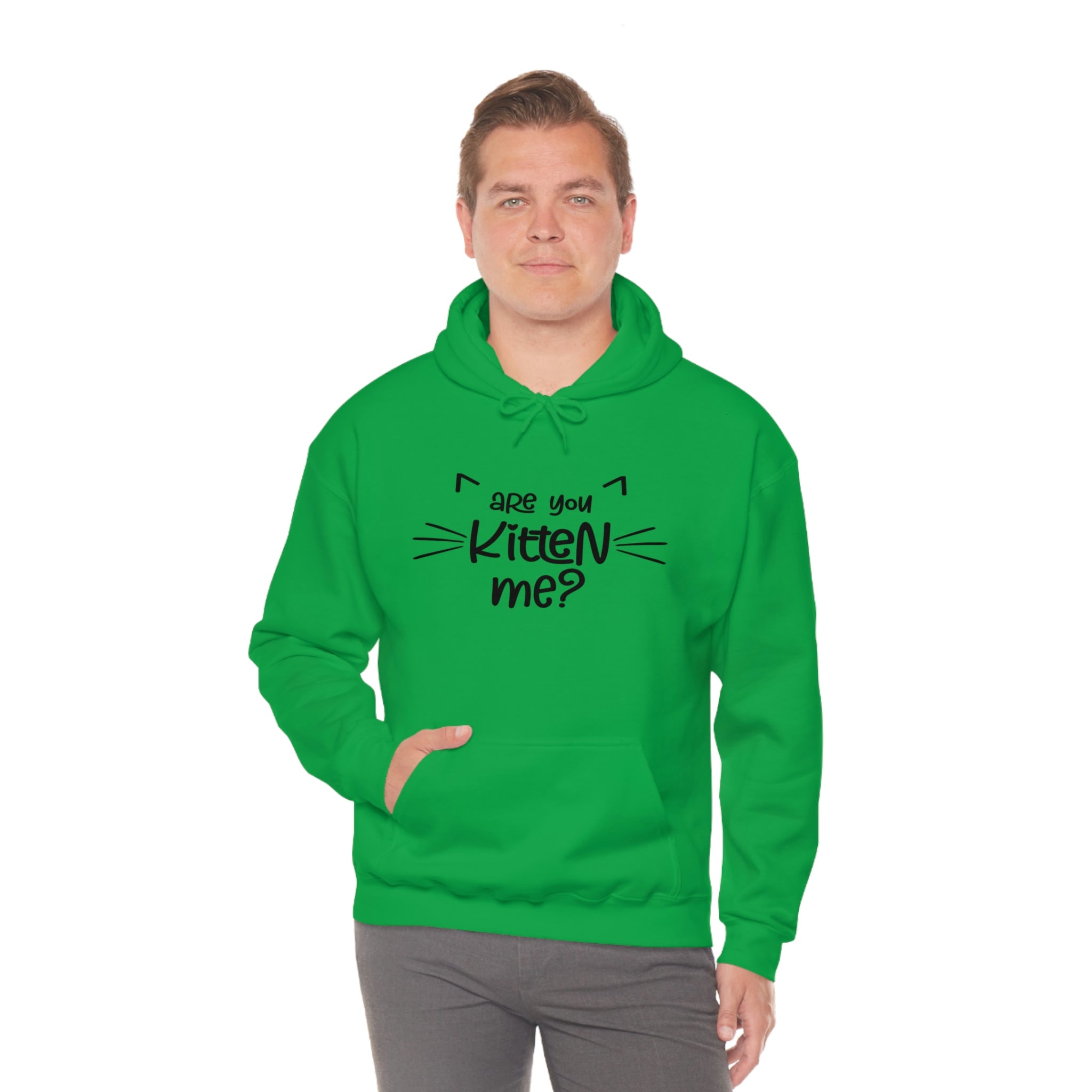 Are You Kitten Me - Unisex Heavy Blend™ Hooded Sweatshirt