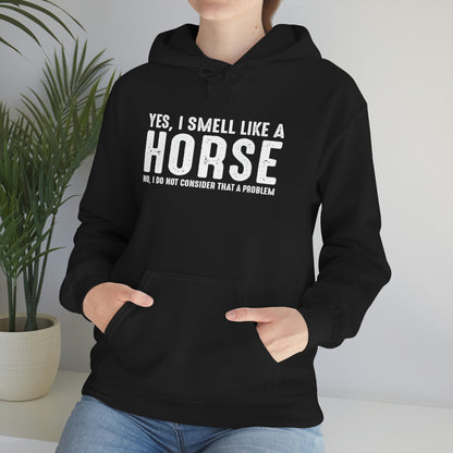 Yes I Smell Like a Horse No I Do Not Consider That A Problem - Unisex Heavy Blend™ Hooded Sweatshirt