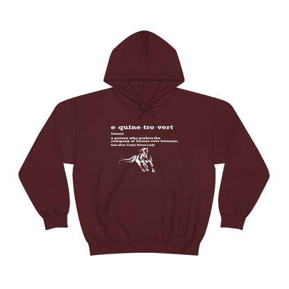 Equinetrovert Definition - Unisex Heavy Blend™ Hooded Sweatshirt