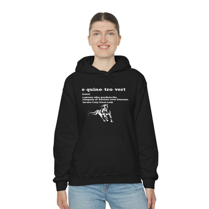 Equinetrovert Definition - Unisex Heavy Blend™ Hooded Sweatshirt