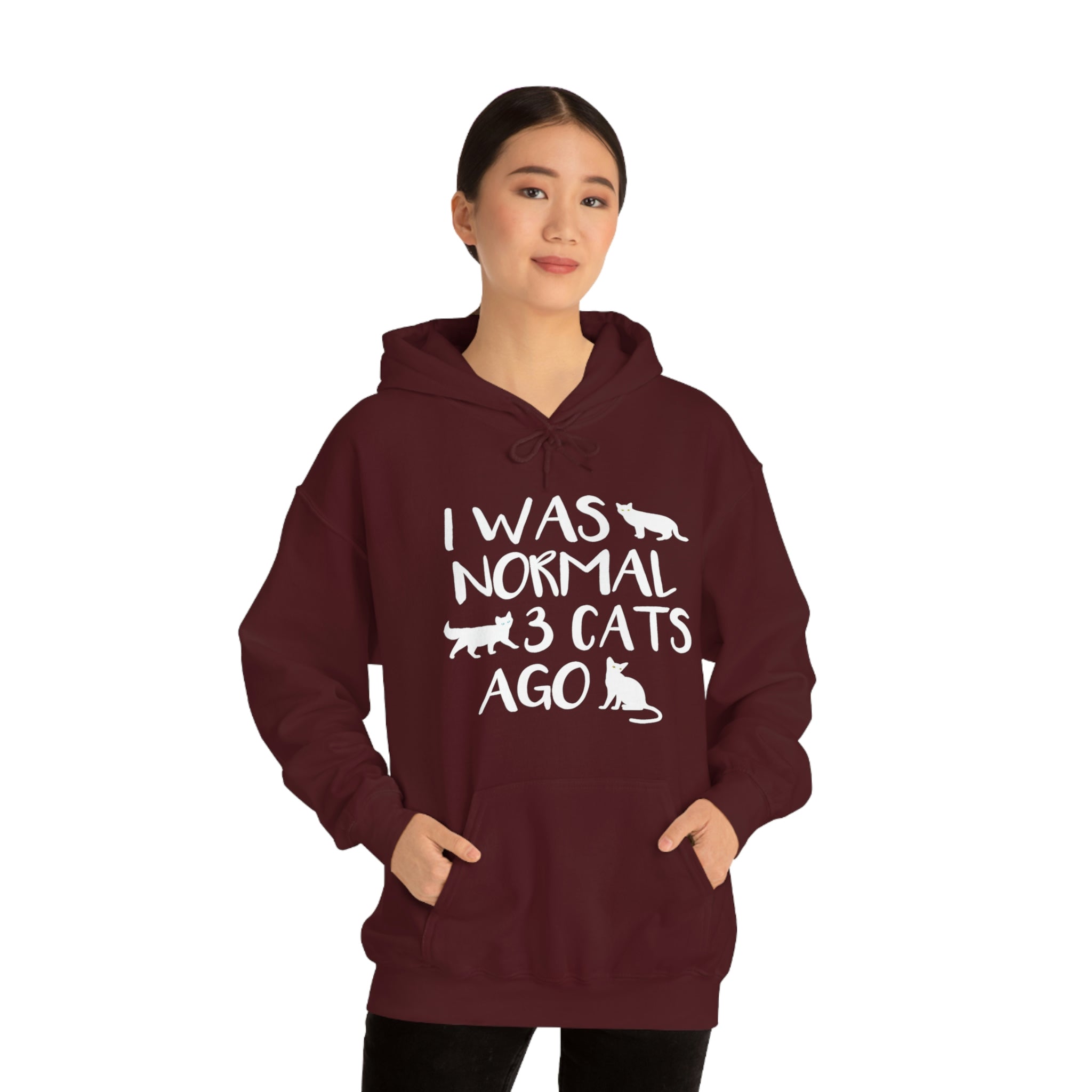 I Was Normal 3 Cats Ago - Unisex Heavy Blend™ Hooded Sweatshirt