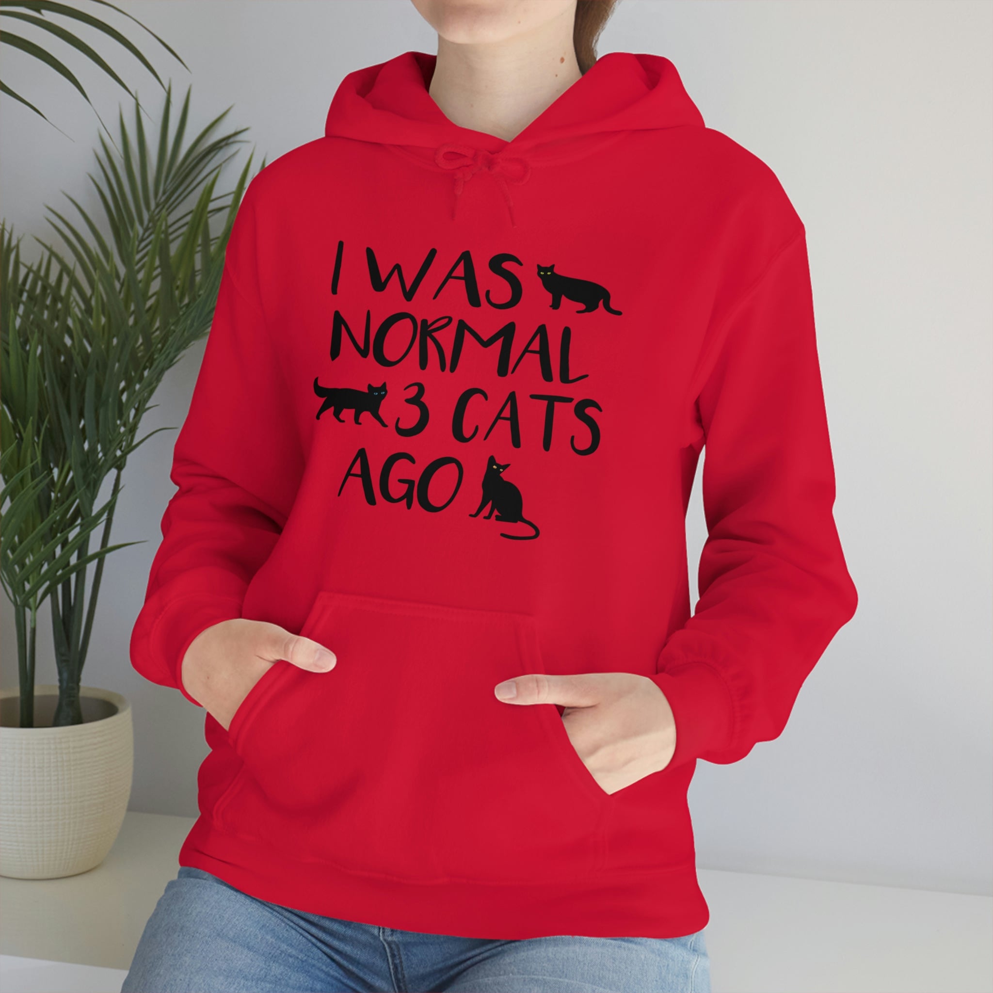 I Was Normal 3 Cats Ago - Unisex Heavy Blend™ Hooded Sweatshirt