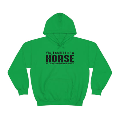 Yes I Smell Like a Horse No I Do Not Consider That A Problem - Unisex Heavy Blend™ Hooded Sweatshirt