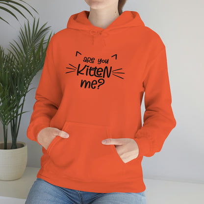 Are You Kitten Me - Unisex Heavy Blend™ Hooded Sweatshirt