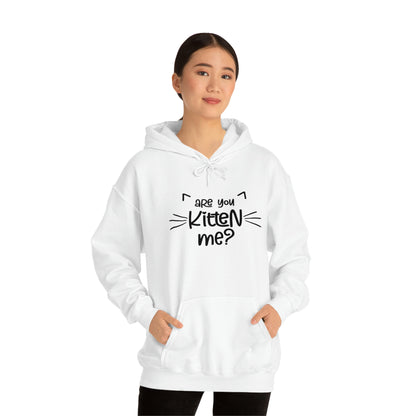 Are You Kitten Me - Unisex Heavy Blend™ Hooded Sweatshirt