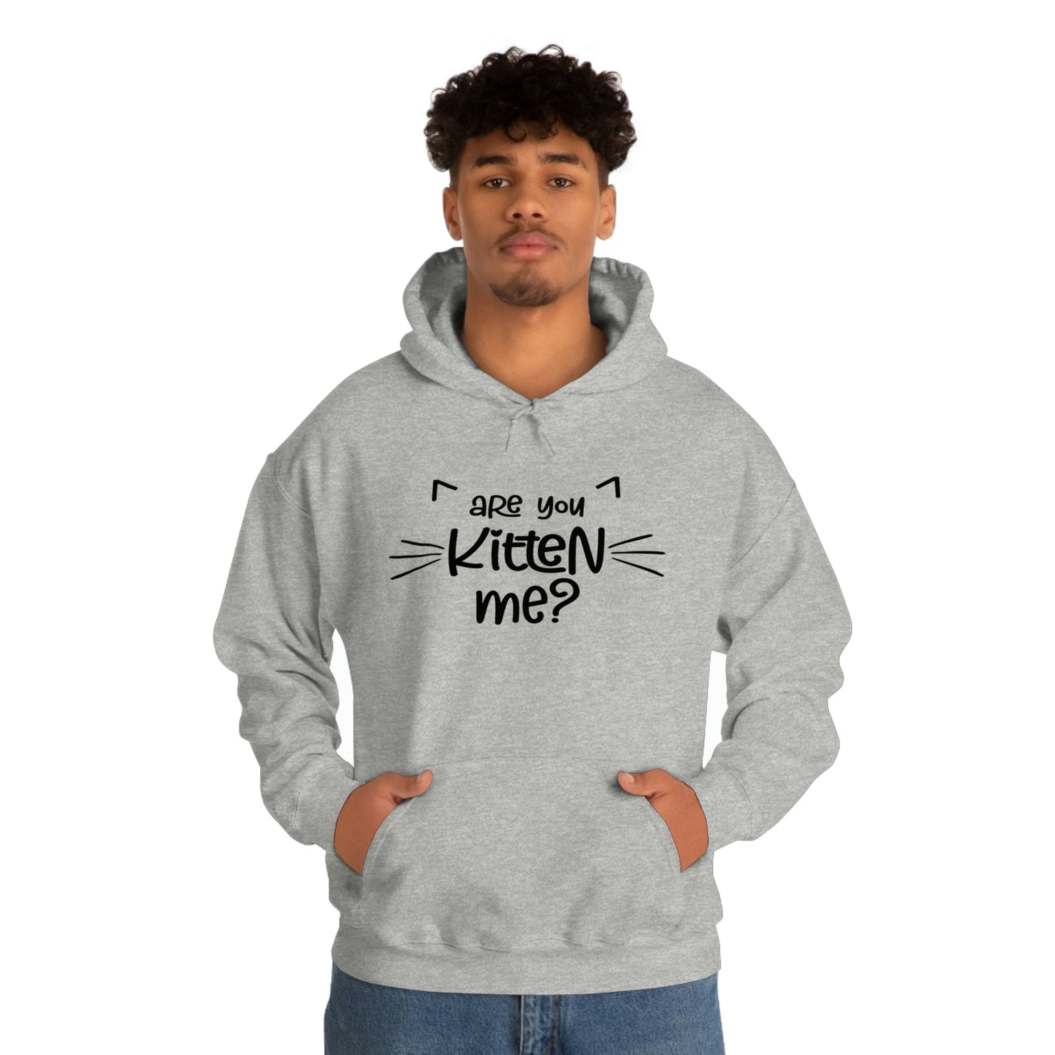 Are You Kitten Me - Unisex Heavy Blend™ Hooded Sweatshirt