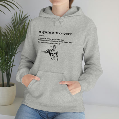 Equinetrovert Definition - Unisex Heavy Blend™ Hooded Sweatshirt